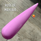 Rose of Mayfair