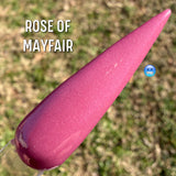 Rose of Mayfair