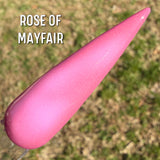Rose of Mayfair