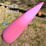 Rose of Mayfair