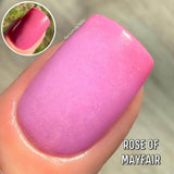 Rose of Mayfair